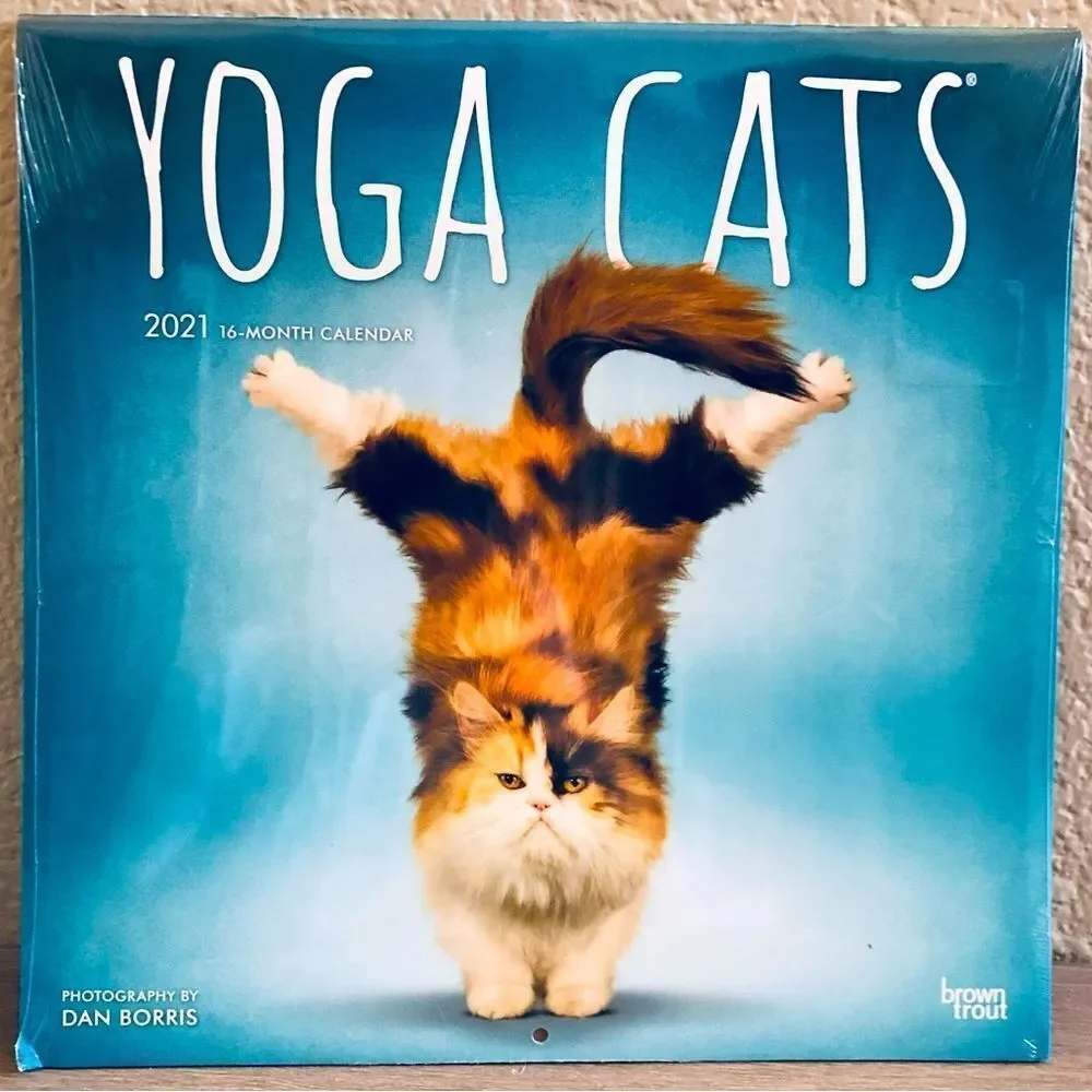 Yoga Cats Wall Art Decor Calendar